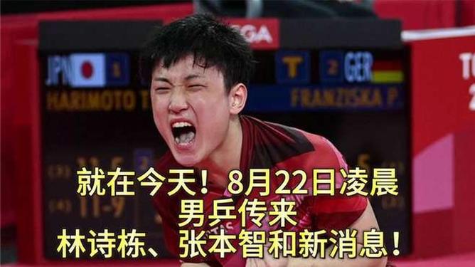 波兰乒乓球队血洗德国乒乓球队，张本智和统治全场的简单介绍