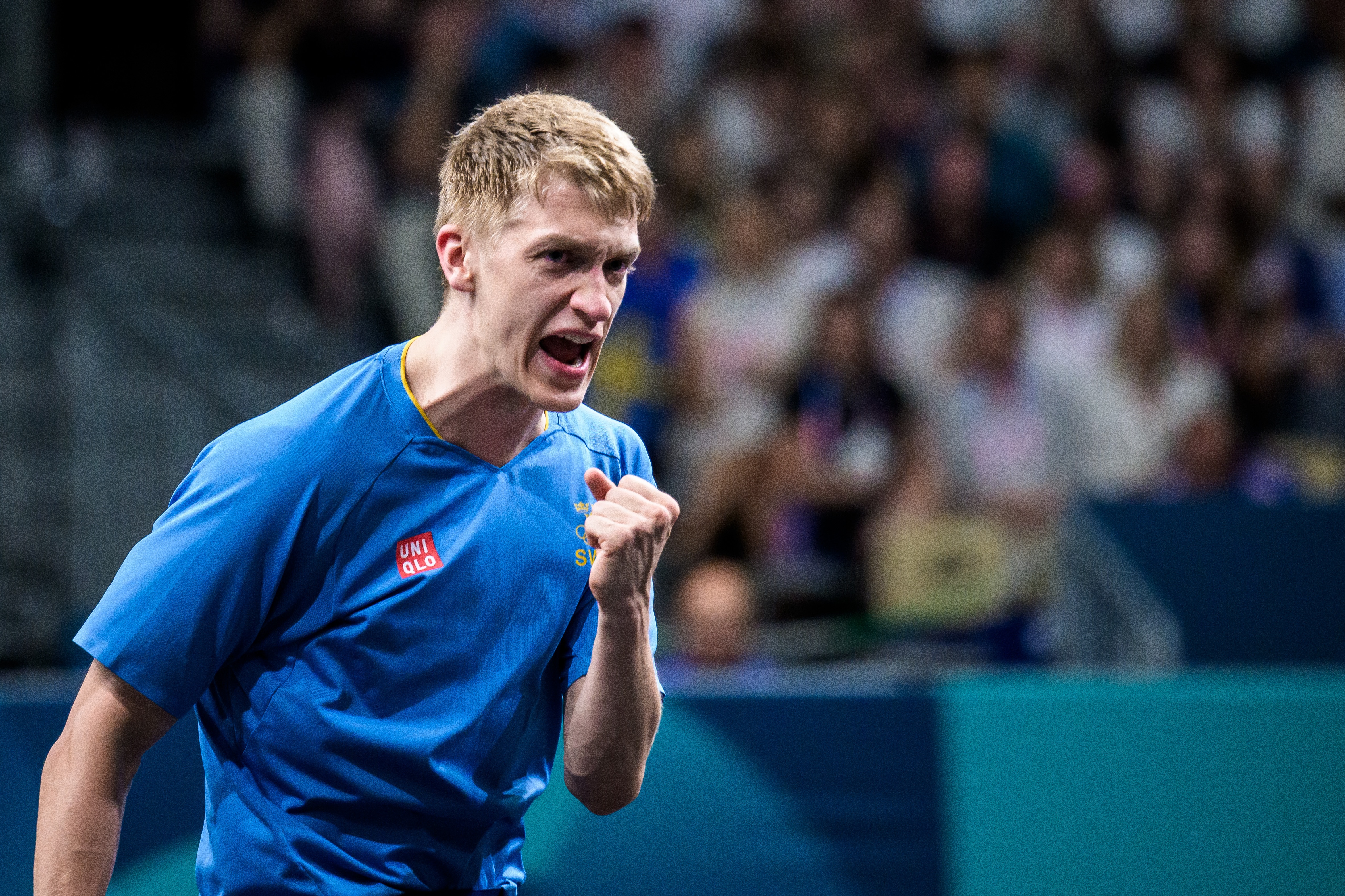 瑞典乒乓球队轻取英国乒乓球队,张本智和高光表现的简单介绍 瑞典乒乓球队轻取英国乒乓球队,张本智和高光表现的简单介绍