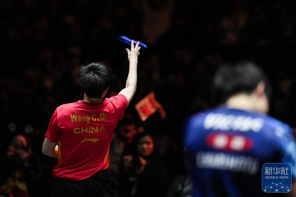 德国乒乓球队绝杀瑞典乒乓球队，王皓关键制胜的简单介绍