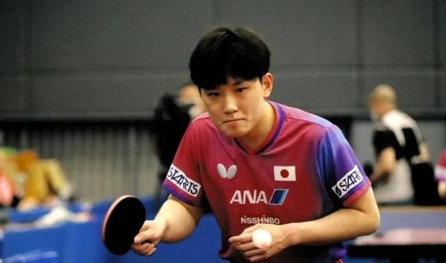 关于法国乒乓球队横扫德国乒乓球队,张本智和高光表现的信息 关于法国乒乓球队横扫德国乒乓球队,张本智和高光表现的信息