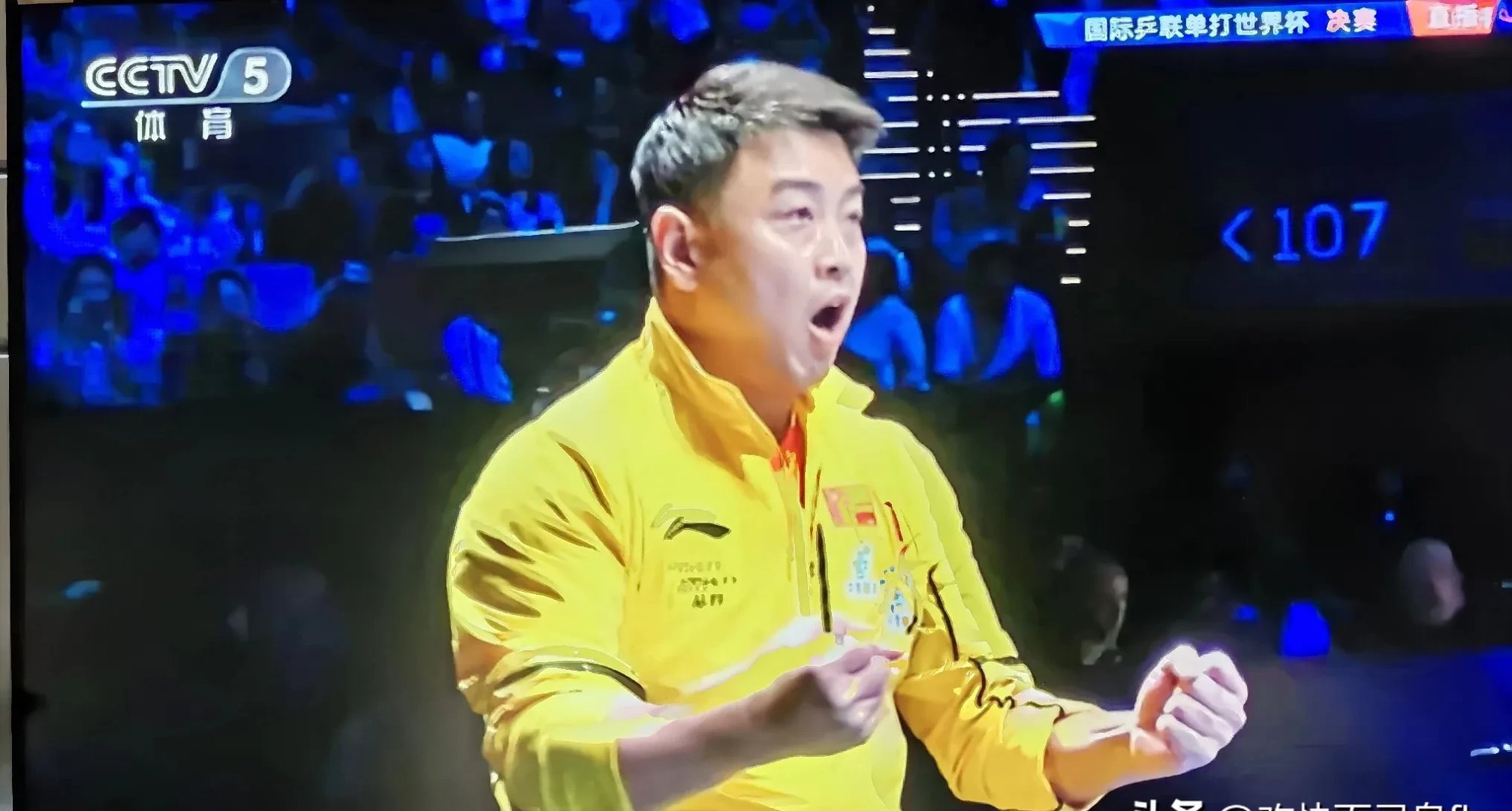 英国乒乓球队鏖战奥地利乒乓球队，王皓制霸全场的简单介绍