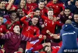 包含瑞士队险胜，欧洲杯半决赛名额尘埃落定的词条