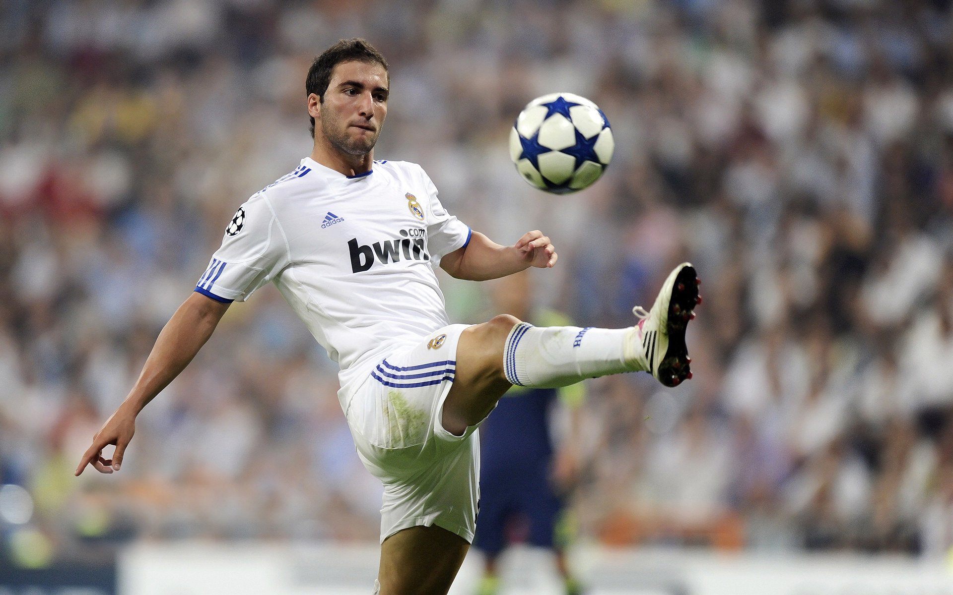 开云足球直播-当红龙咆哮，威尔士的生死战与伯纳乌的欧冠之夜