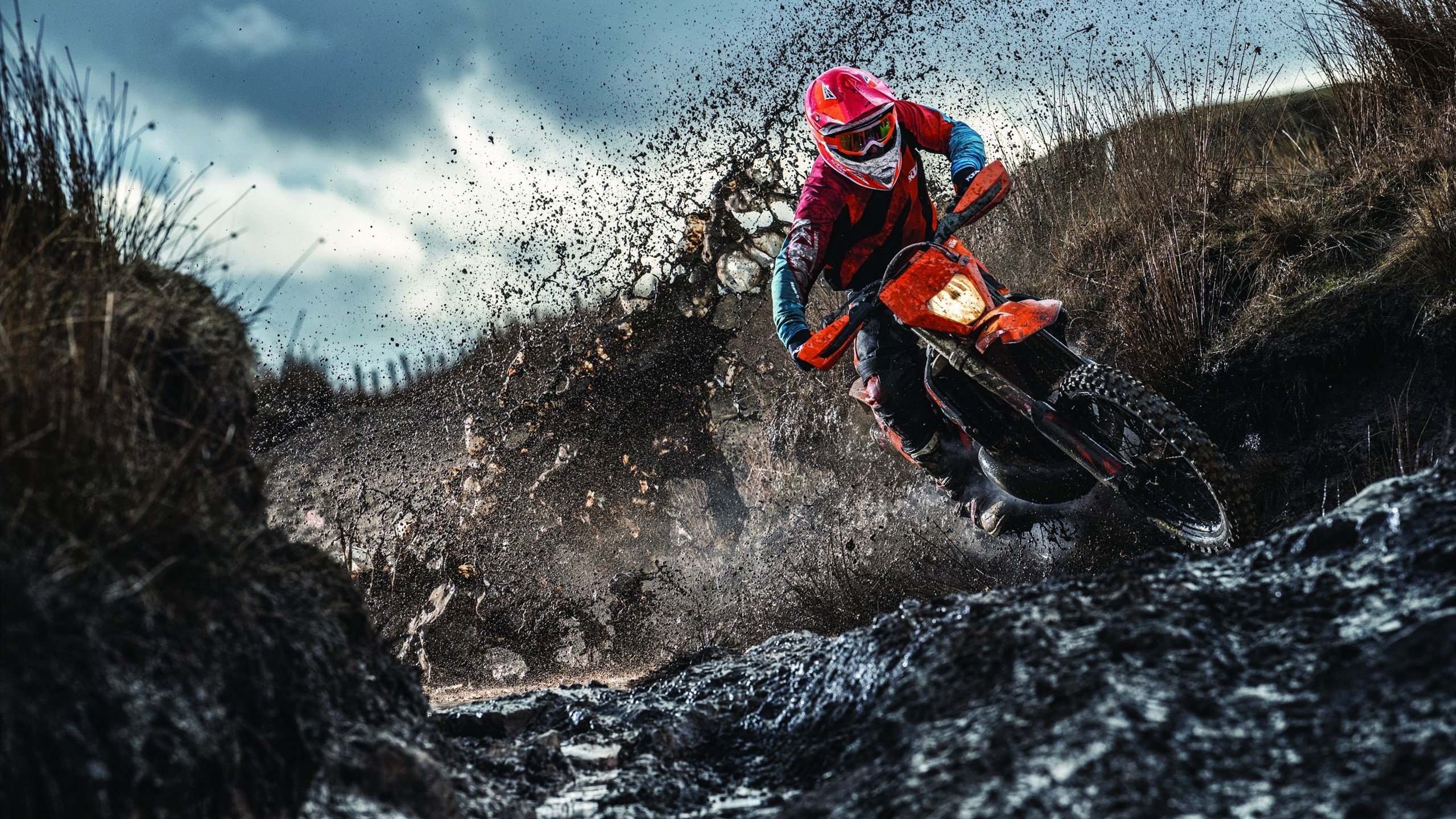 梁靖崑独挑大梁，德国队鏖战中国队见证国乒新锐崛起